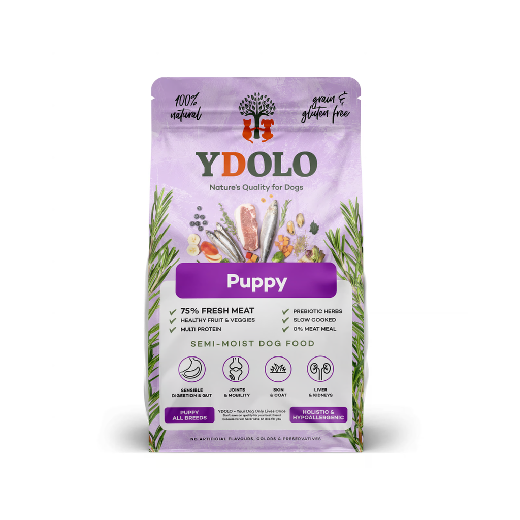 Ydolo - Healthy & fresh puppy