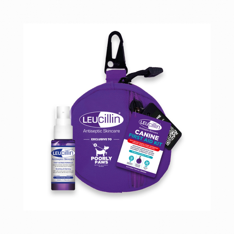 Leucillin - EHBO kit
