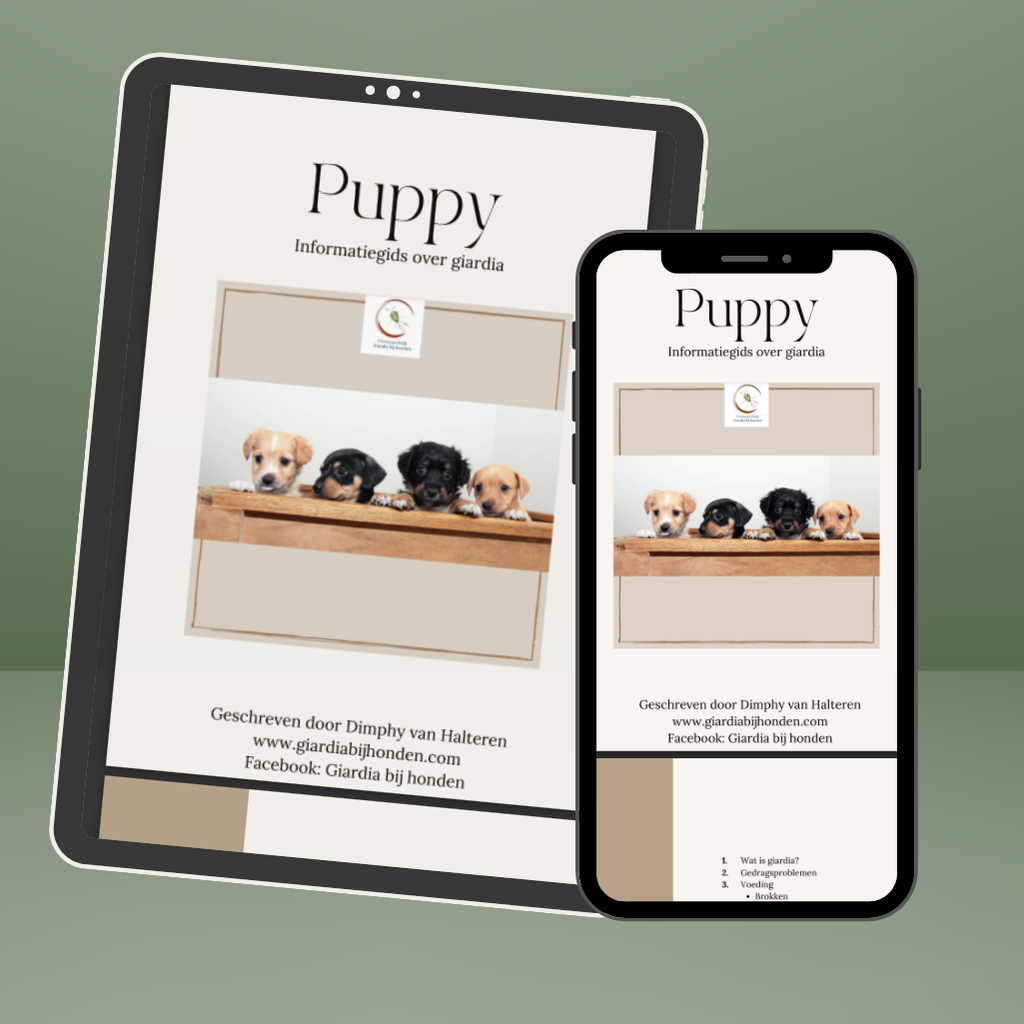 Puppy informatiegids over giardia (Haldi Coaching)