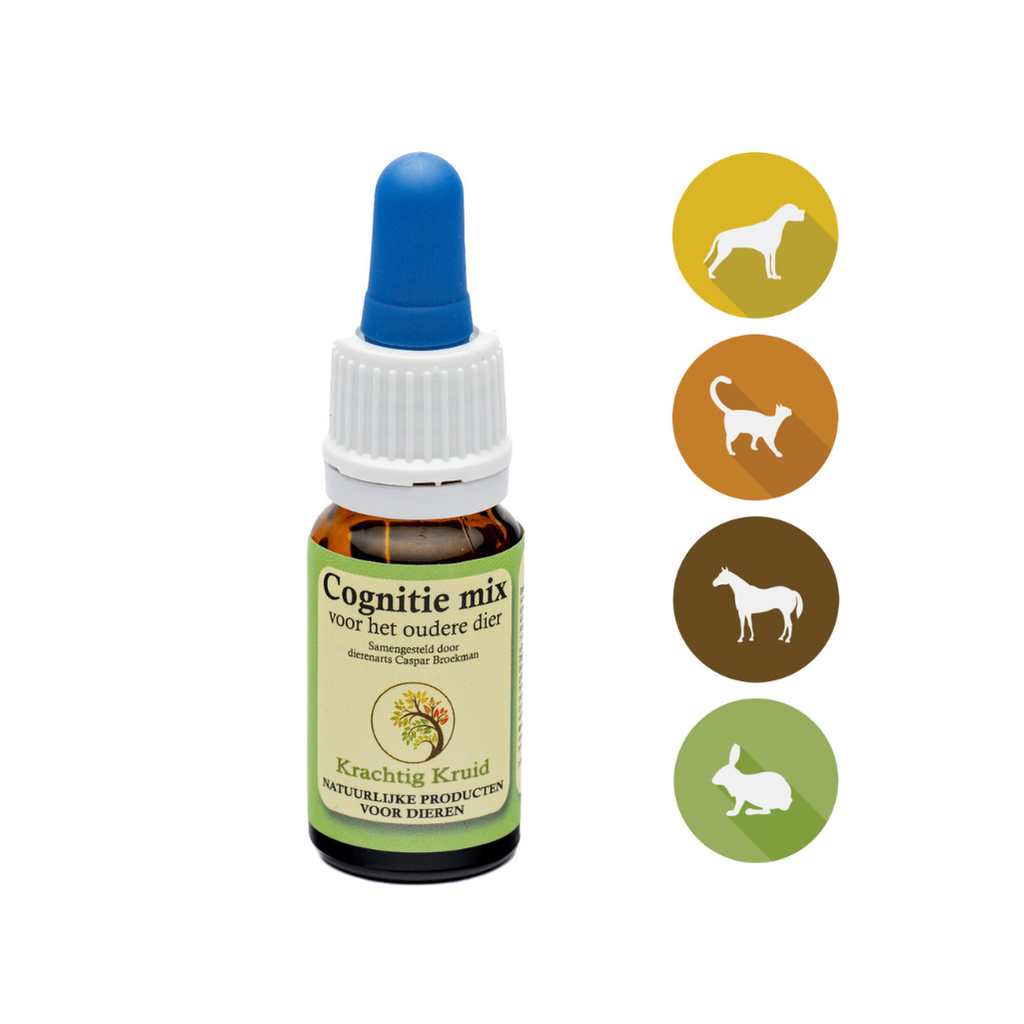 Krachtig Kruid - Cognitie mix