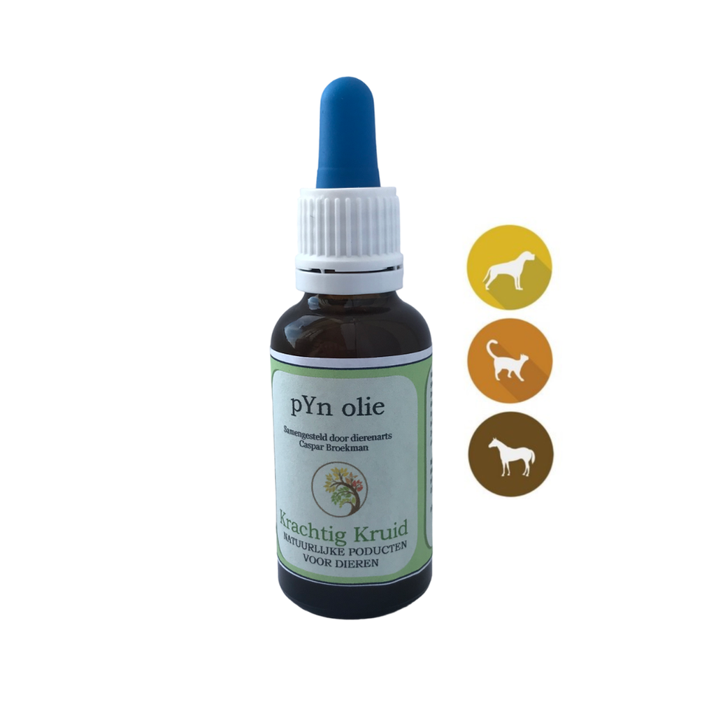Krachtig Kruid - Pyn olie