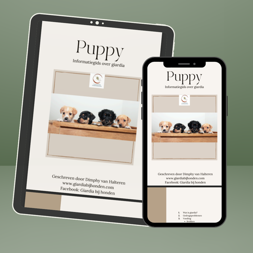 Puppy informatiegids over giardia (Haldi Coaching)