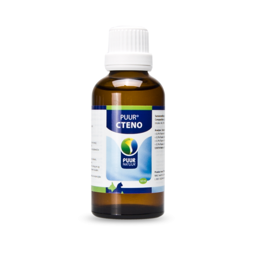 PUUR - Cteno