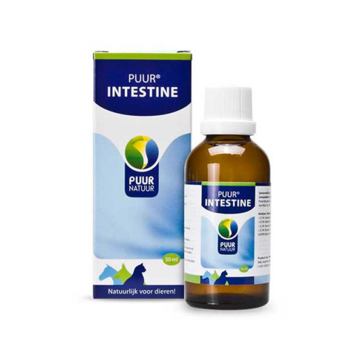 PUUR - Intestine